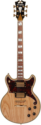 DAngelico Deluxe Brighton NSA